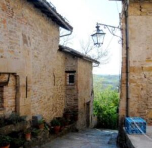 Erbe e decotti nel libro di Mazzarello