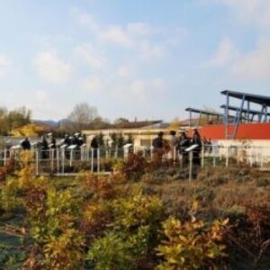 Parco Storico dell’Alto Monferrato: fumata nera per il nuovo gestore