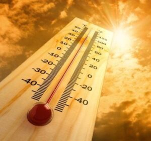 Ondata di calore, come prevenire i danni alla salute