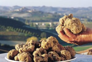 Tartufi: annata positiva nonostante il maltempo