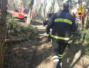 A 83 anni si perde nel bosco: “Sto bene ma non so dove sono”