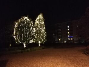 “Natale al parco”: domenica di festa a Villa Gabrieli