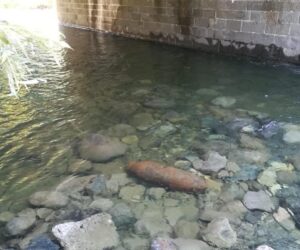 Ordigno di Campo Ligure: rimozione molto complessa