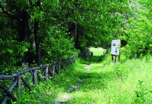 Cinque comuni e un itinerario nel verde per valorizzare il territorio