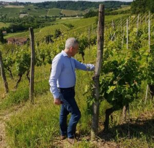 Psr Piemonte: 6,2 milioni in più sul bando 2019 con 145 beneficiari