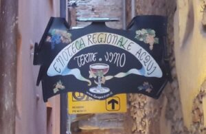 Approvata la nuova disciplina delle Enoteche Regionali e Strade del vino