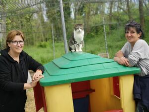 “A-micio mio”, il nuovo rifugio per gatti sfortunati