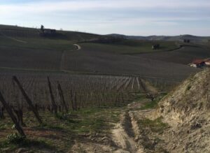 Turismo sportivo in Italia: una risorsa da sfruttare per ripartire