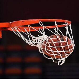 Basket, in regione partenza a metà. Pallavolo rinvia ancora