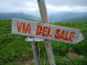 E se ci fosse una diaspora alimentare…
