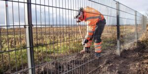 Peste suina, gli agricoltori: «Tempi troppo lunghi per la rete»