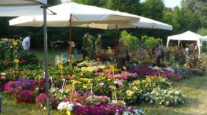 Pertini: oltre trenta espositori per il ritorno di Fiorissima