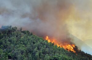 Incendi boschivi, stato di “massima pericolosità” in Piemonte