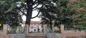 Raccolta di fondi per salvare i cedri
