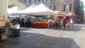 Concorso di idee: un solo progetto per piazza San Domenico