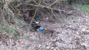 Plastic free al lavoro per pulire la strada del Turchino