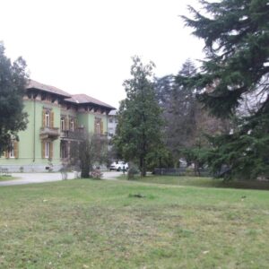 Appello per Villa Gabrieli: “Gli alberi sono a rischio”