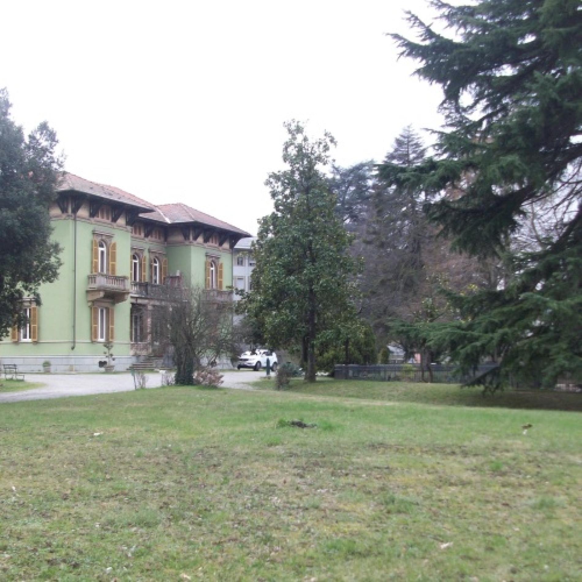 Villa Gabrieli: al via il programma di cura degli alberi