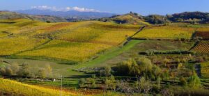Agriturismi, 1 milione di arrivi in meno: “Servono sostegni”