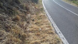 Cappellette: giornata di pulizia con i volontari di “Plastic free”