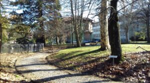 L’Arbor Day apre la settimana di attività al parco di Villa Gabrieli