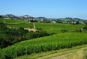 Monferrato: mancano i russi, non gli stranieri