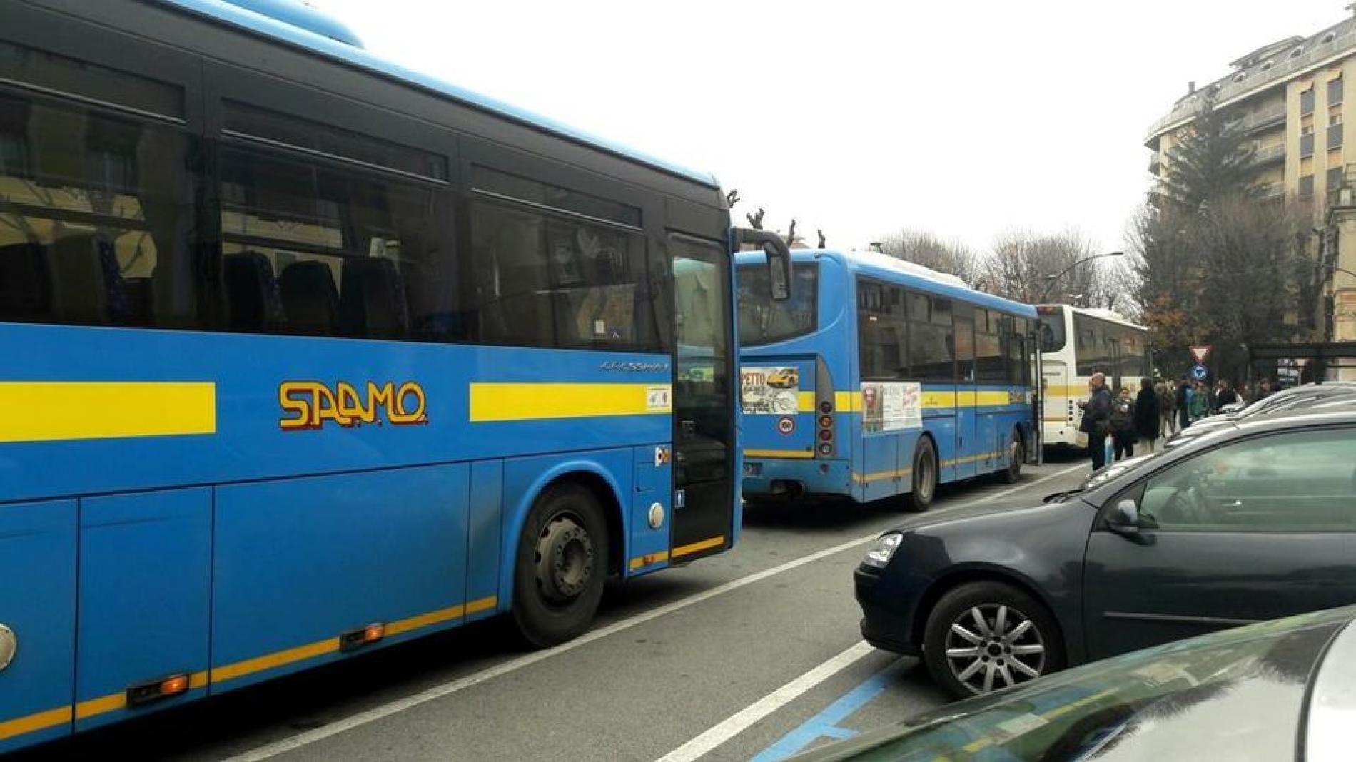 Trotta Bus fra piano estivo e bilancio: «Mantenuto il servizio di Saamo»