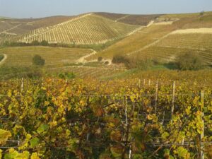 Strada dei vini e dei sapori del Gran Monferrato: l’ok della Regione