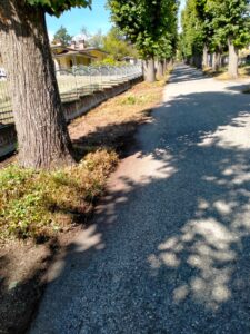 Borgo, la manutenzione del verde migliora il rione