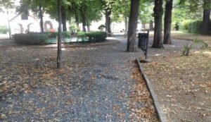 Cura del verde: botta e risposta maggioranza – opposizione
