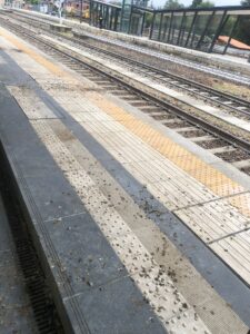 Guano in stazione, va sempre peggio