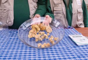 Trisobbio, fiera del tartufo: visitatori da tutto il nord