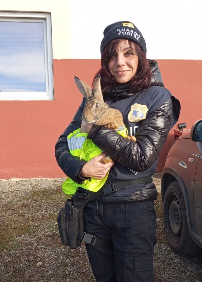 Quargnento: cane e i suoi 4 cuccioli salvati da Oipa