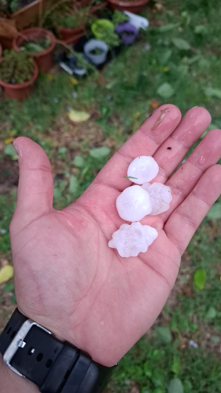 Bollettino meteo, Alessandria riapre l’ombrello