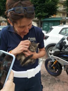Micio incastrato in un motore, la vigilessa Monica lo salva