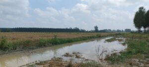 Maltempo nell’Alessandrino: sono gravi danni per l’agricoltura
