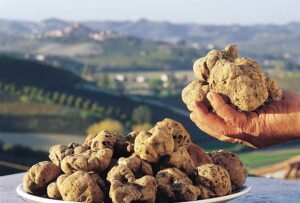 Trisobbio, il paese del tartufo è pronto per la fiera nazionale