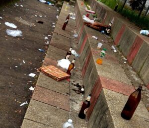 Via Cavanna, giardini bersagliati: è emergenza spazzatura