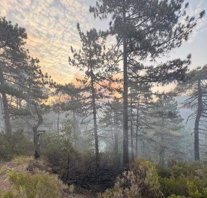 Incendio di Mornese, dopo la bonifica il doloroso bilancio